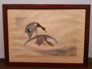 Kaczki nad wodą .  Leon  Danchin.