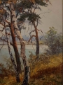 Jesienny poranek nad jeziorem. Hans Kaluske
