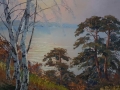 Mrożny poranek. Hans Kaluske