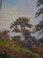 Mrożny poranek. Hans Kaluske