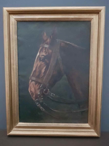Głowa konia Oskar Frey