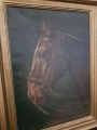 Głowa konia Oskar Frey