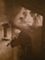 Fotograwiura ''Pustelnik'' Friedrich Bruckmann