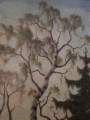Uroczy krajobraz P.H. OLBRICH 1945r