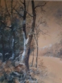 Las w zimowej scenerii P.H. Janowitz