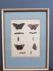 Kolorowa grafika  "Motyle'' nr.1