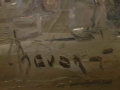 John Bevort Pola Elizejskie