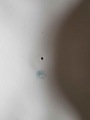 Piękna bomboniera Sorau
