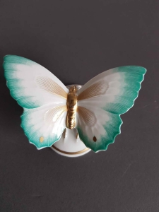 Rosenthal    Motyl  1