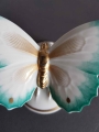 Rosenthal Motyl 1