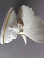 Rosenthal Motyl 1