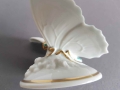 Rosenthal Motyl 1