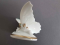 Rosenthal Motyl 1