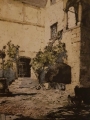 Zamek w Seebenstein Luigi Kasimir