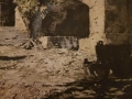 Zamek w Seebenstein Luigi Kasimir