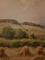 Zbiory zboża.