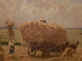 Zbiory zboża.