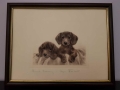 Kurt Meyer Eberhardt Dwa Jamniczki Oryginalna Litografia