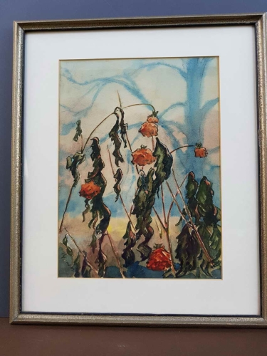 Duża piękna akwarela Maki 1949r.