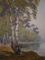 Letni pejzaż nad jeziorem Hans Kaluske