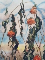 Duża piękna akwarela Maki 1949r.