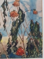 Duża piękna akwarela Maki 1949r.