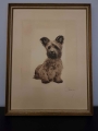 Mały piesek Kurt Meyer Eberhardt