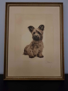 Mały  piesek   Kurt Meyer  Eberhardt