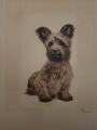 Mały piesek Kurt Meyer Eberhardt