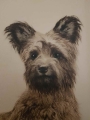 Mały piesek Kurt Meyer Eberhardt