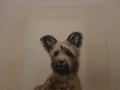 Mały piesek Kurt Meyer Eberhardt