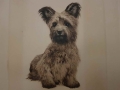 Mały piesek Kurt Meyer Eberhardt
