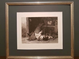 Carl Jutz - grafika  Paw w kurniku.