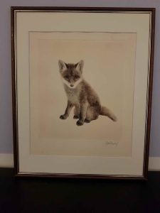 Mały  lisek   Kurt  Meyer  Eberhardt