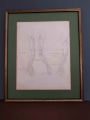 Anatomia ręki - ołówek XIX w.