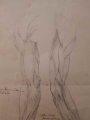 Anatomia ręki - ołówek XIX w.