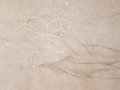 Anatomia ręki - ołówek XIX w.